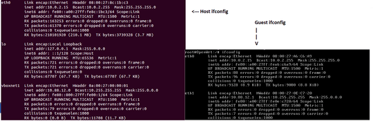 ifconfig for host and guest OS