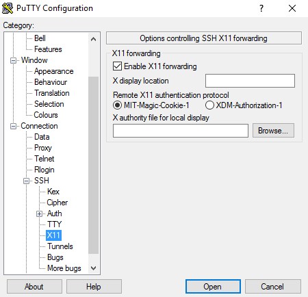 putty x11 settings