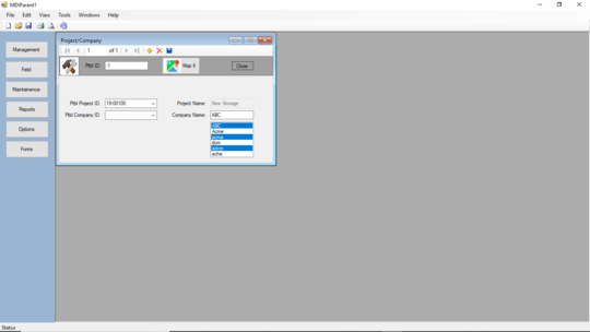 screenshot of input form