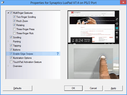 Synaptics settings screenshot