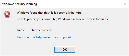 Popup: Windows Security Warning