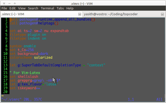 vim opened in the terminal