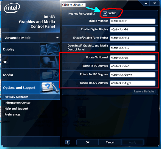 Screenshot from the Intel specific display driver