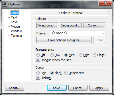 mintty options dialog