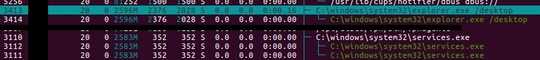 Output of htop, showing "C:\Windows\system32\explorer.exe /desktop" & "C:\Windows\system32\services.exe"