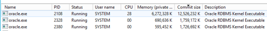 Snippet from Task Manager Details tab showing the breakdown by oracle process