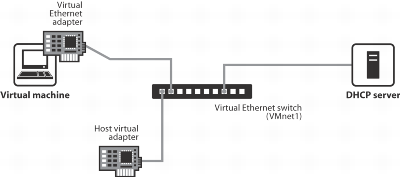 Host-only network