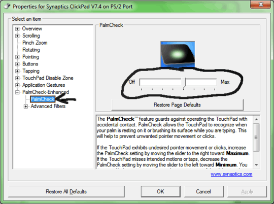 PalmCheck menu in Synaptics settings dialog