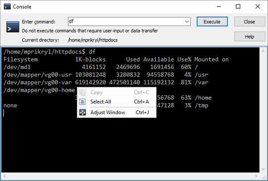 WinSCP Console window