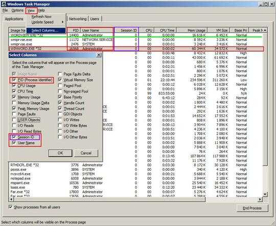 Task Manager User Name, PID, SessionID