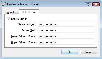 Host-Only DHCP Server