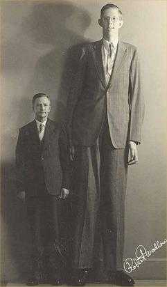 Wadlow