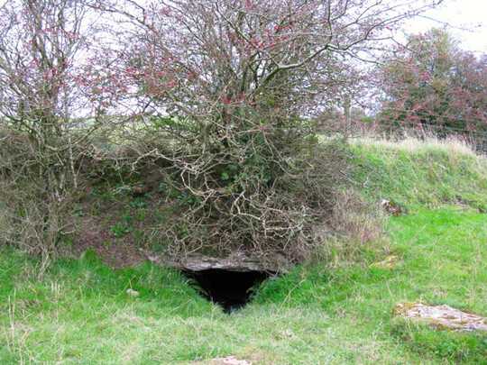 simple cave in the woods